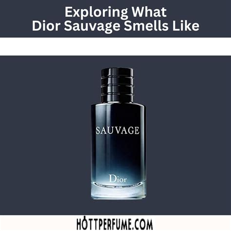 notes sauvage dior|what does sauvage smell like.